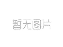 宁波市拟提拔任用13位市