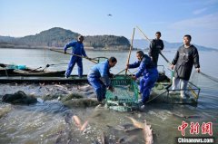 万鱼翻腾 浙江宁波2024东
