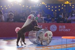 坚守与更新龙湖的时代命