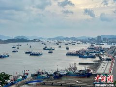 迎战台风“普拉桑” 浙
