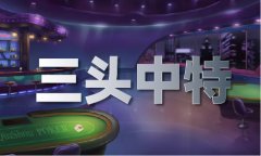 公式杀三肖 - 公式杀三肖